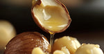 Macadamia Oil