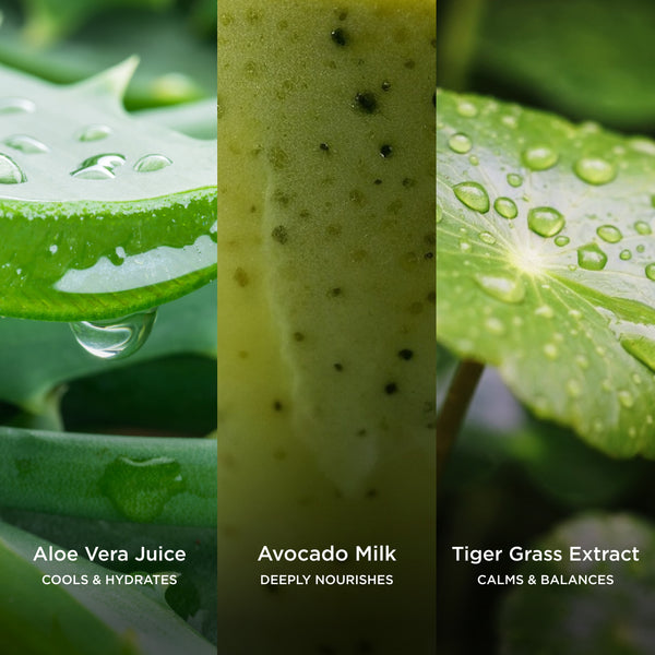 Morning Mist Soothing Toning Essence