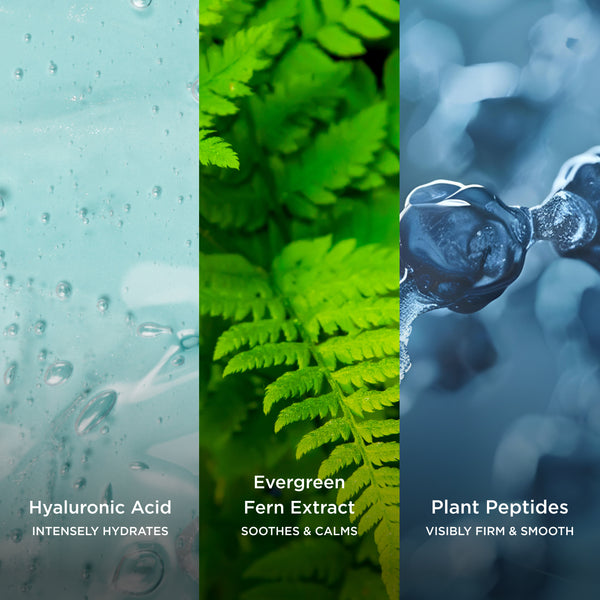 Rainforest Dew Hydration Serum